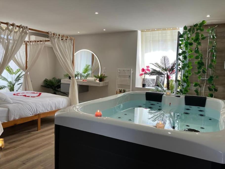 Jungle Secret Spa Nuit Insolite Giromagny Exteriör bild